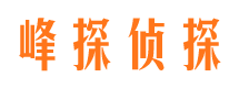 禅城侦探公司